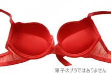 赤いワイヤーブラ