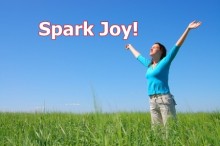 spark joy