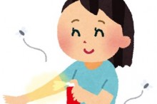 虫除けスプレー