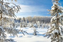 雪景色