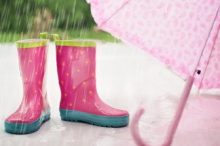 雨