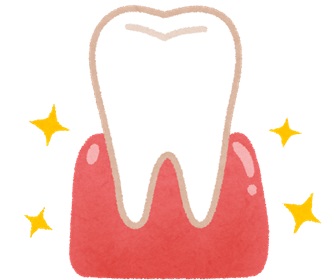 健康な歯茎