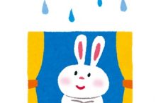 雨を見るウサギ