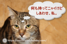 身軽な猫