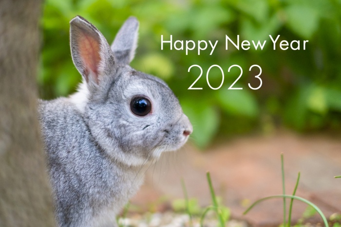 2023年の干支のウサギ