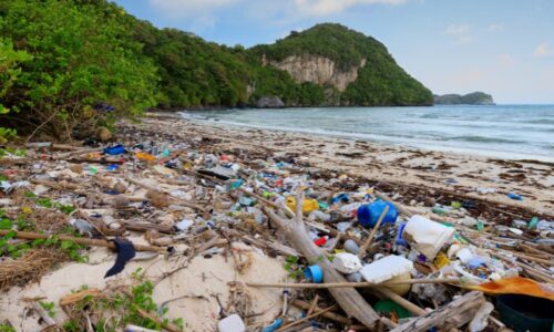 海岸に打ち上げられたプラスチックのゴミ