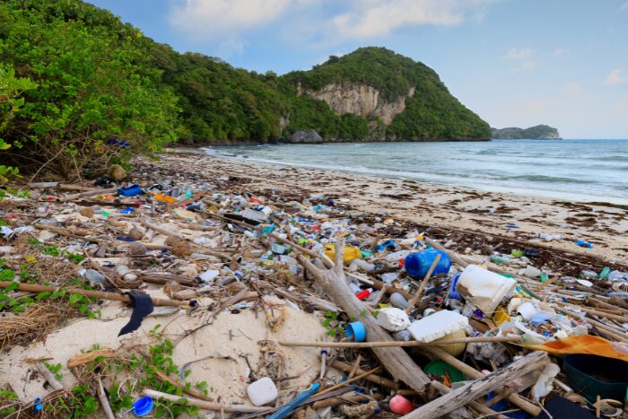 海岸に打ち上げられたプラスチックのゴミ