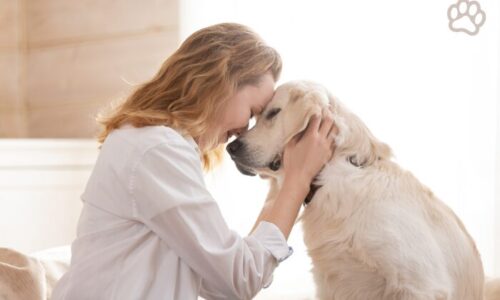 女性と愛犬