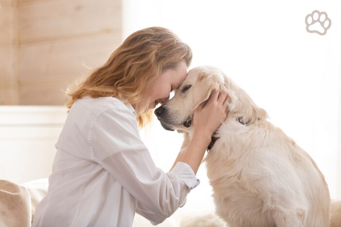 女性と愛犬